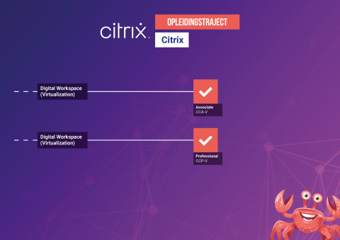 Opleidingstraject Citrix T2 IT Detachering